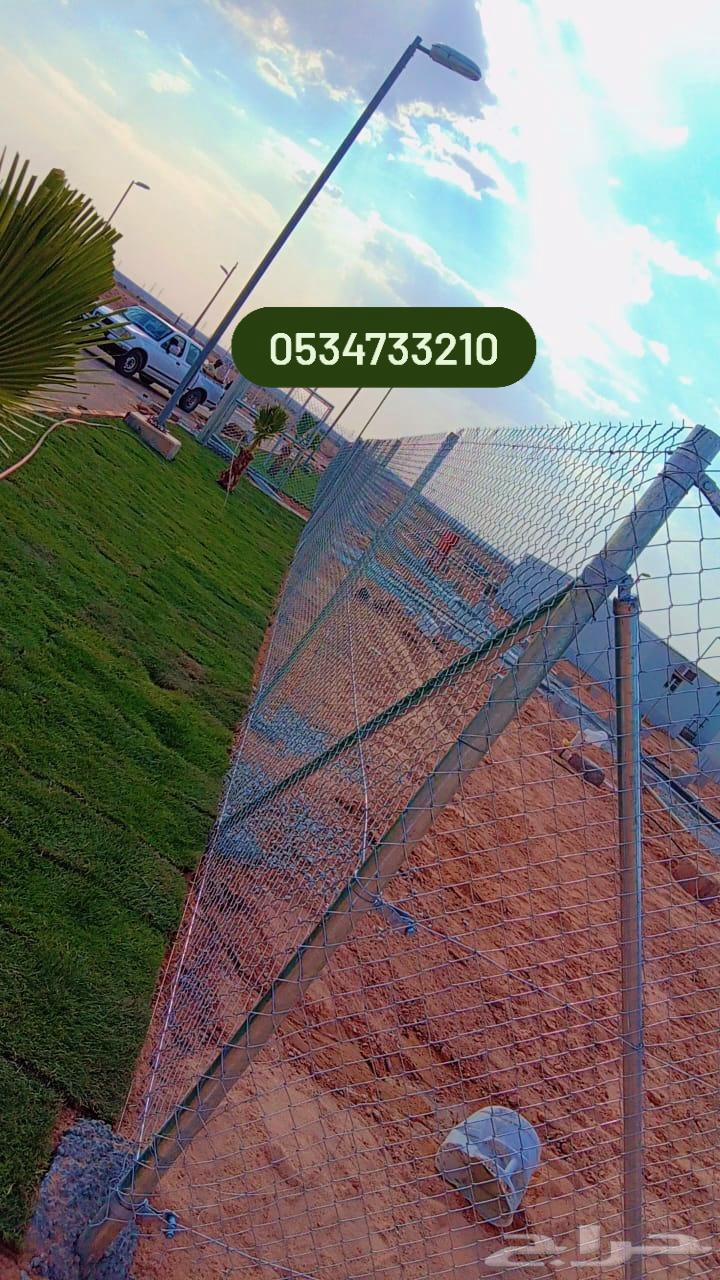 مقول شبوك وجميع انواع نخيل والمزارع الحداده64538761405826114