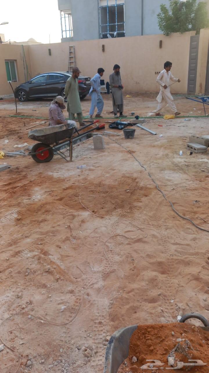 Pakistani tile setter64538889979649113