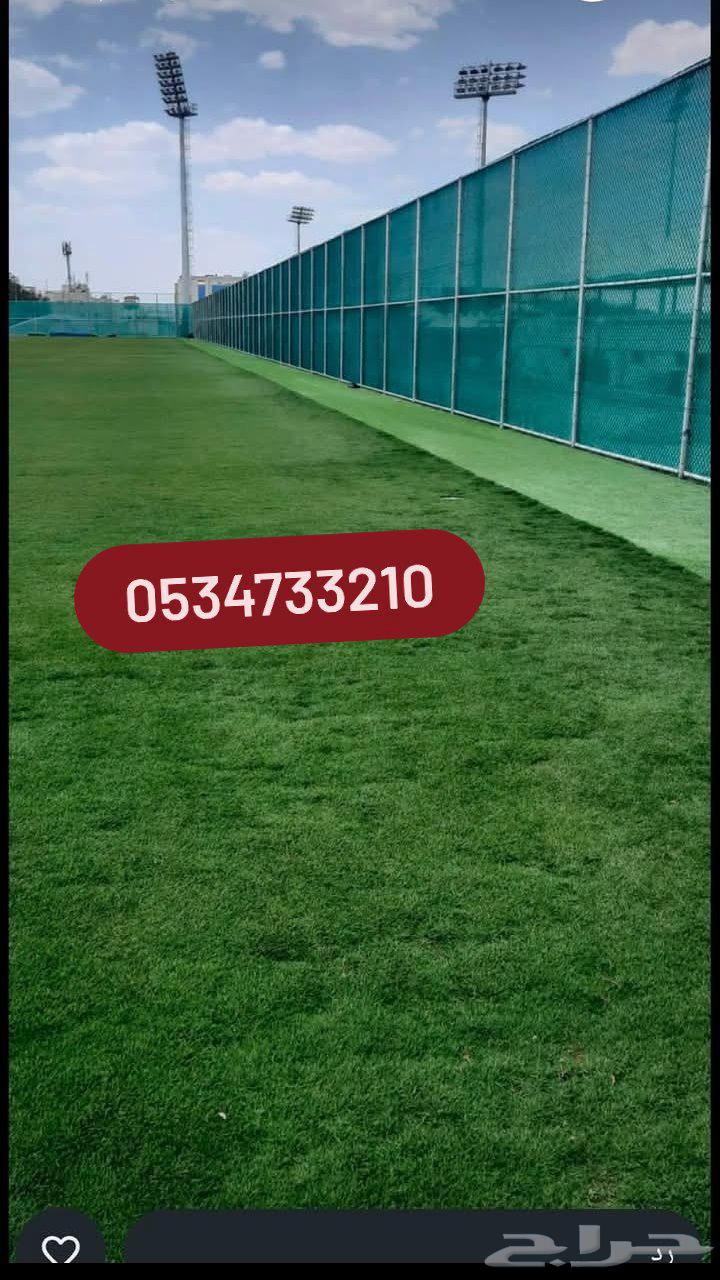 مقول شبوك وجميع انواع نخيل والمزارع الحداده64538761405826113