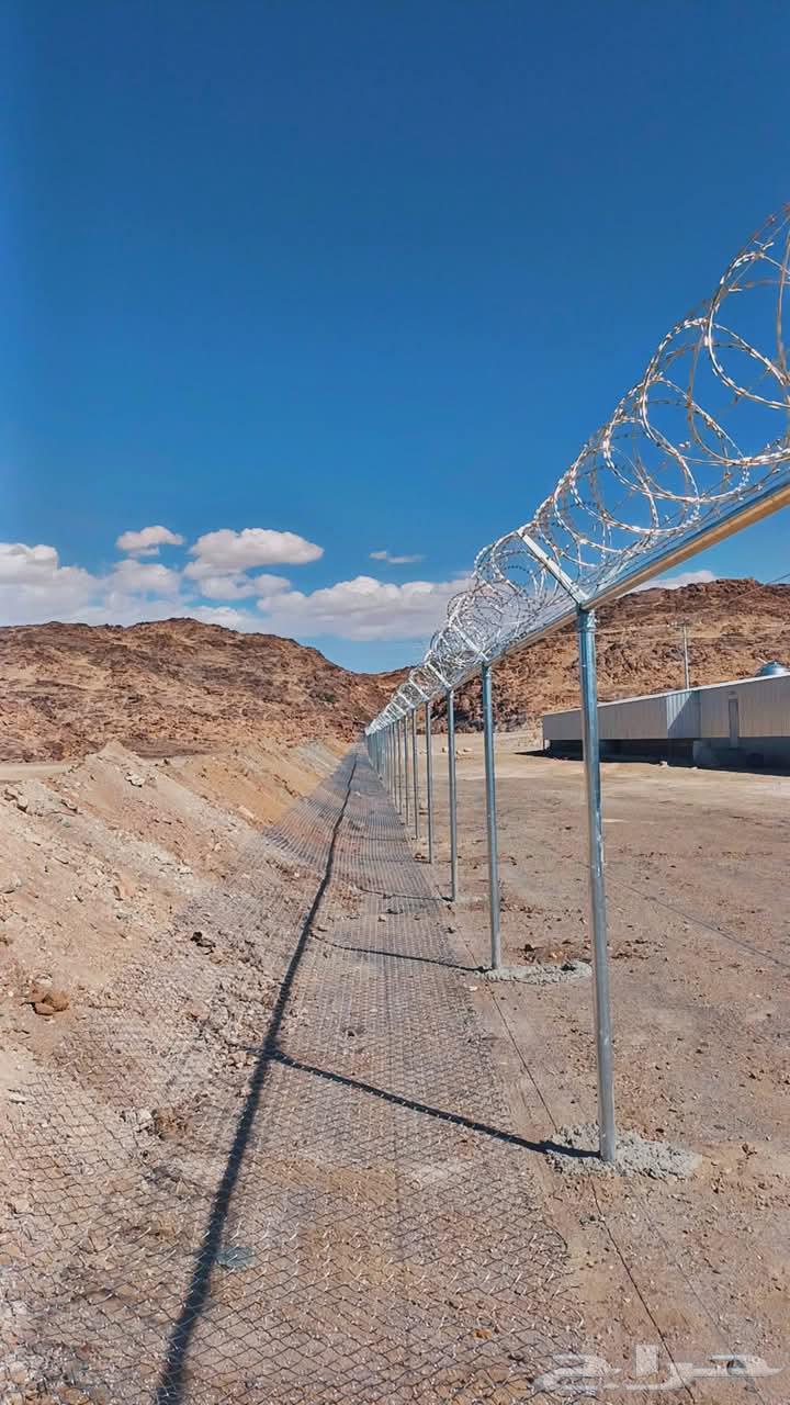 We have palm trees and farm net installation64545491495043114