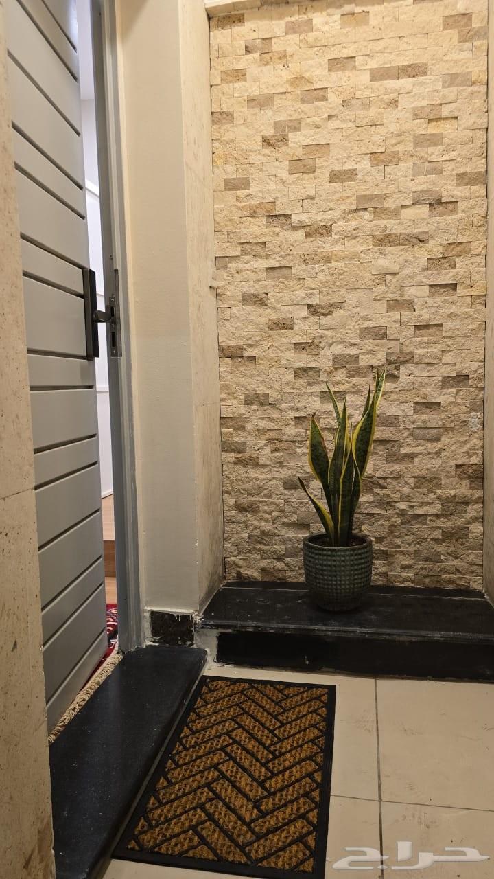 شقه استديو مؤثثه للايجار السنوي حي الحمدانيه64538721390083110