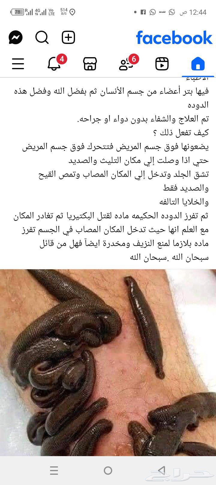 General contracting in Jeddah64538778361602113