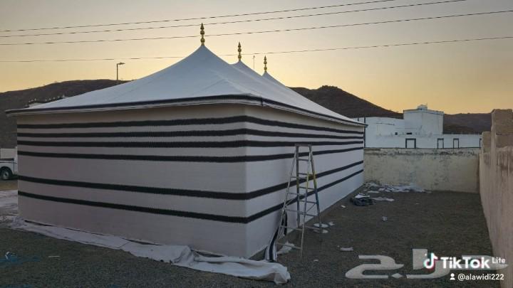 خيام و مظلات أصالة الدوحه تبوك64545539824514112