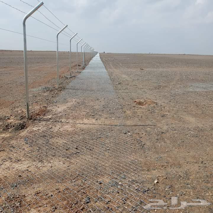 شبوك سياج حديد مجلفن64562796464259110