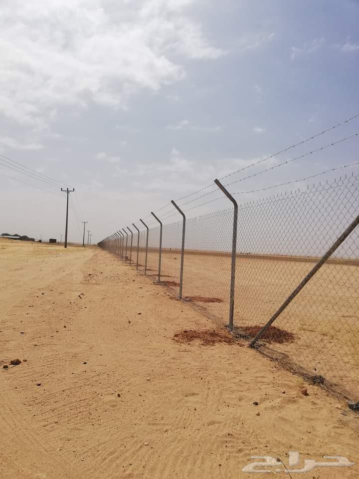 شبوك سياج حديد مجلفن64562796464259111