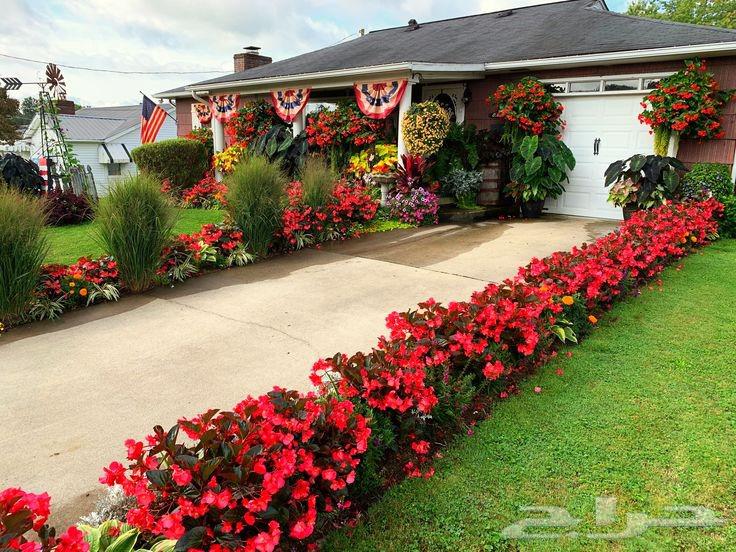 م ابو احمد تنسيق حدائق وتركيب جميع انواع الثيل الصناعى والطب64538722730241110