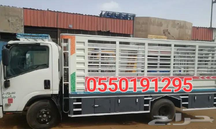 نقل عفش مع الفك والتركيب64538689748867111