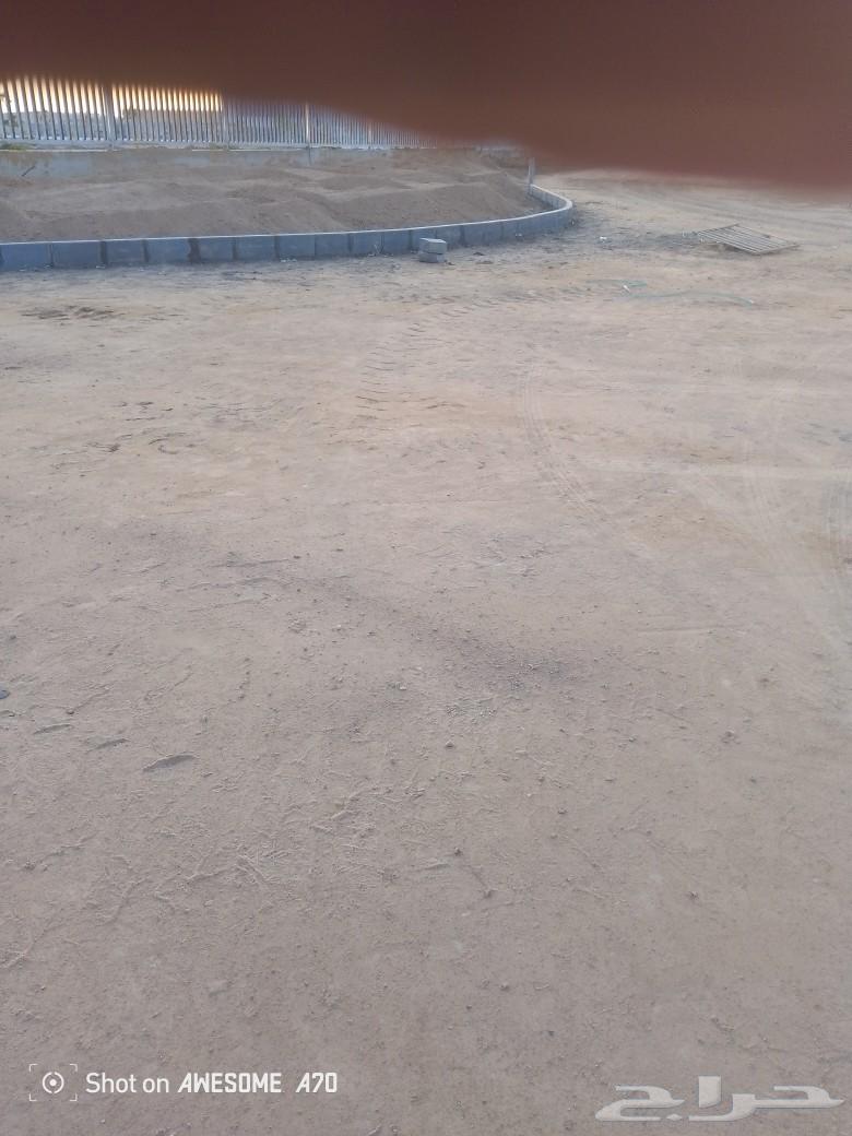 Ahmad Abu Shafa for paving and interlock work, precision in work64538658864769110