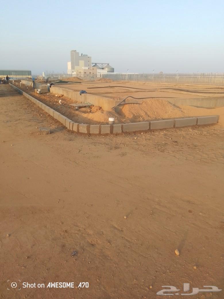 Ahmad Abu Shafa for paving and interlock work, precision in work64538658864769112