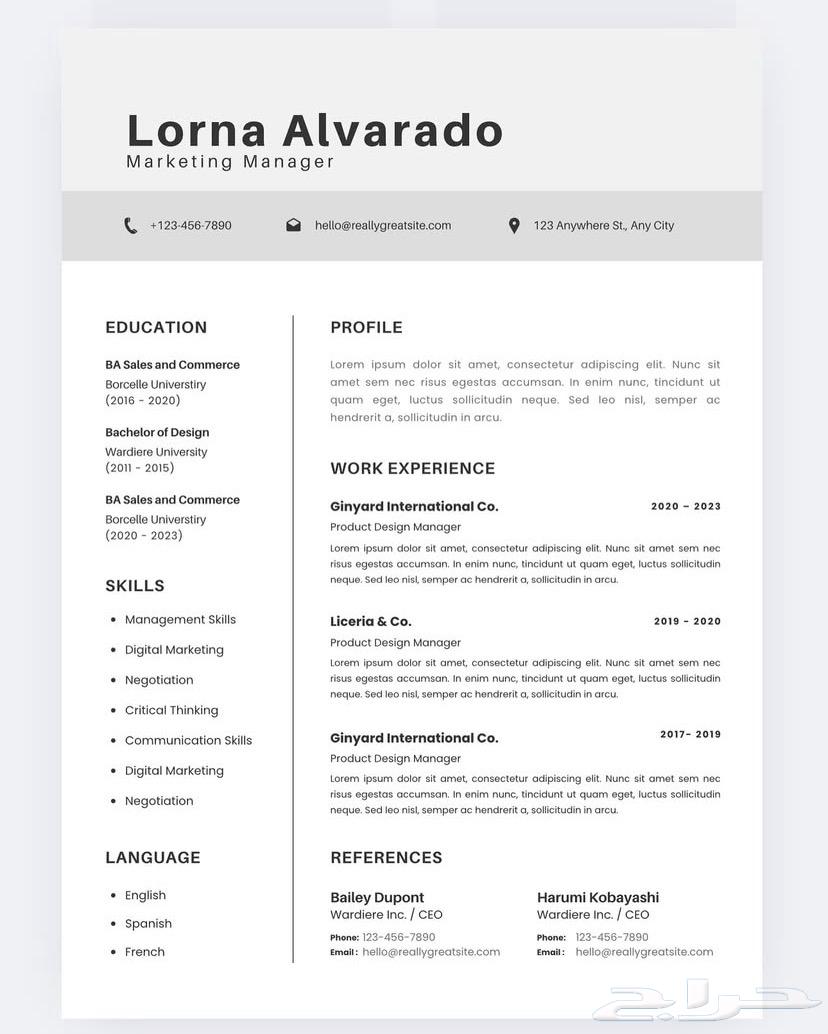 سيره ذاتيه احترافيه عربي وانقلش64534536025473113