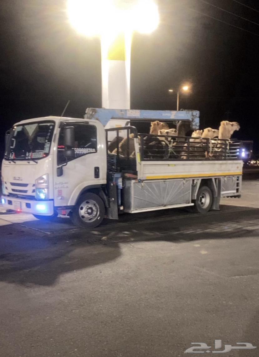 دينه دينا ونش كرين متجهه من الرياض للجنوب64538888803201110