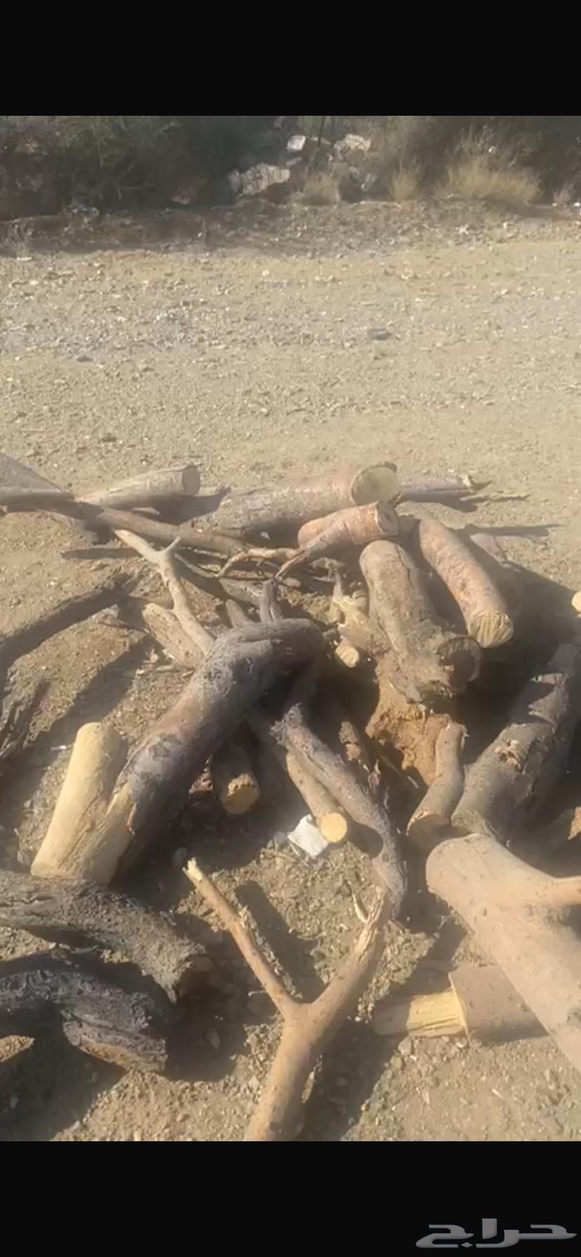 موجود حطب مستورد النوع سمر موجود توصيل المشوار64538777302147111