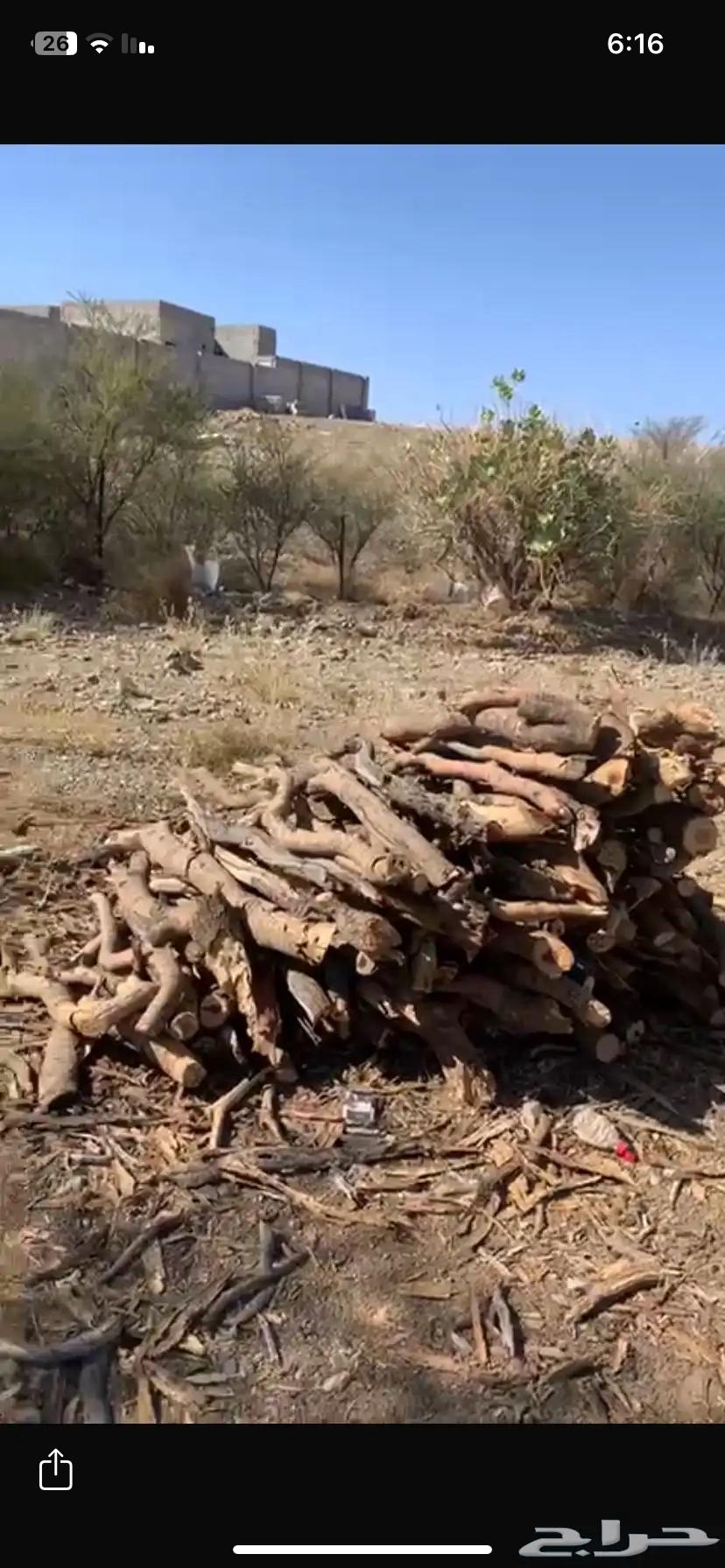 موجود حطب مستورد النوع سمر موجود توصيل المشوار64538777302147110