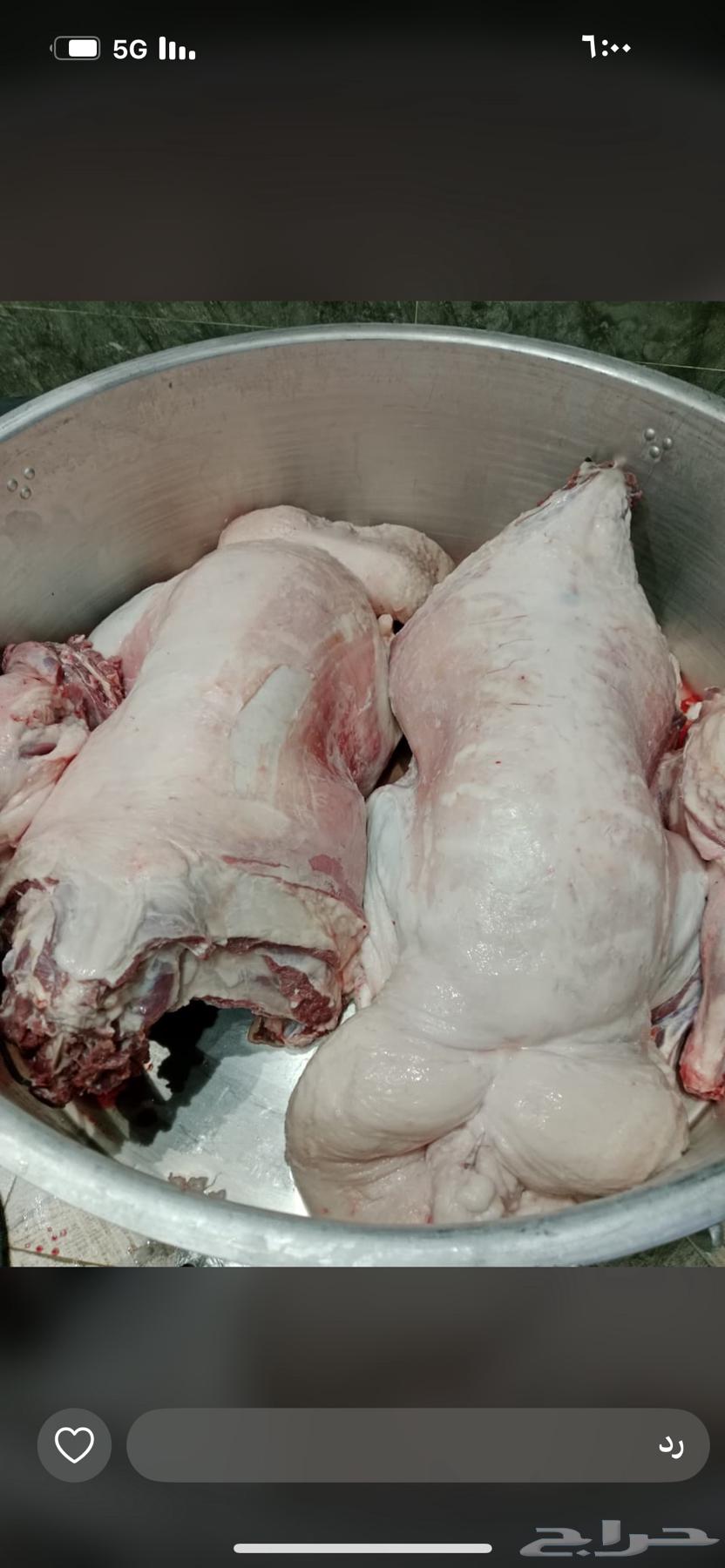 Mobile chef within Riyadh and outside Riyadh64534520990339110