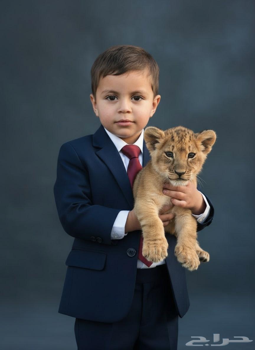 Thanks to God, all types of glass, scrim, aluminum, office curtains, drawer64538762731266114