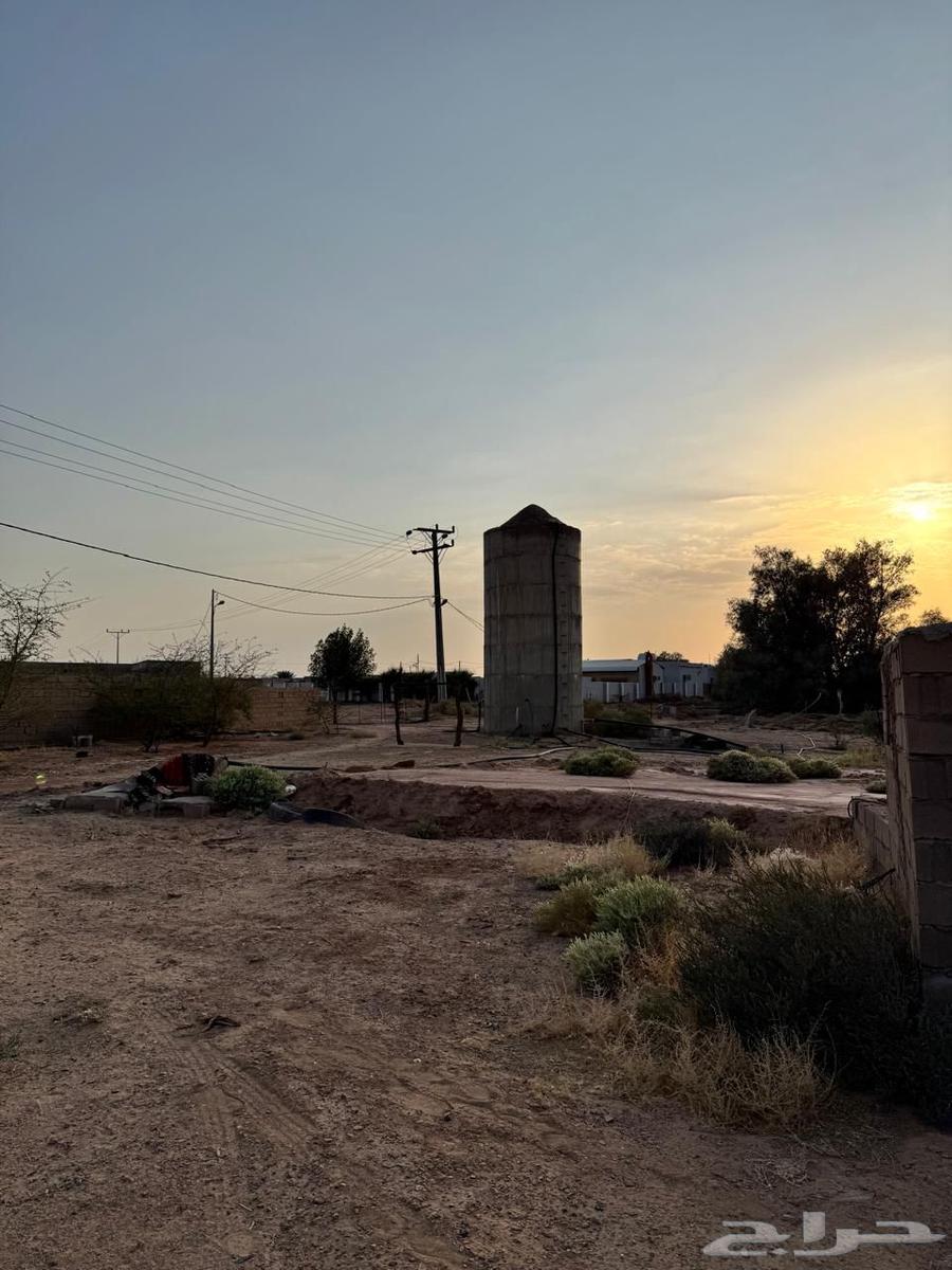 للبيع مزرعه بالشملي64545489985281113