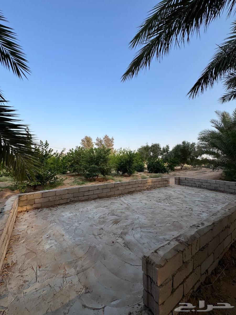 للبيع مزرعه بالشملي64545489985281114