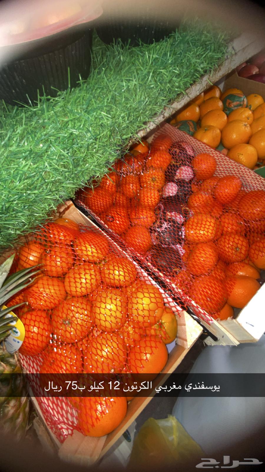 مندوب توريد خضروات وفواكه64625087444353111