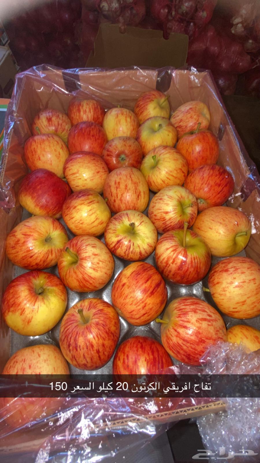 مندوب توريد خضروات وفواكه64625087444353110