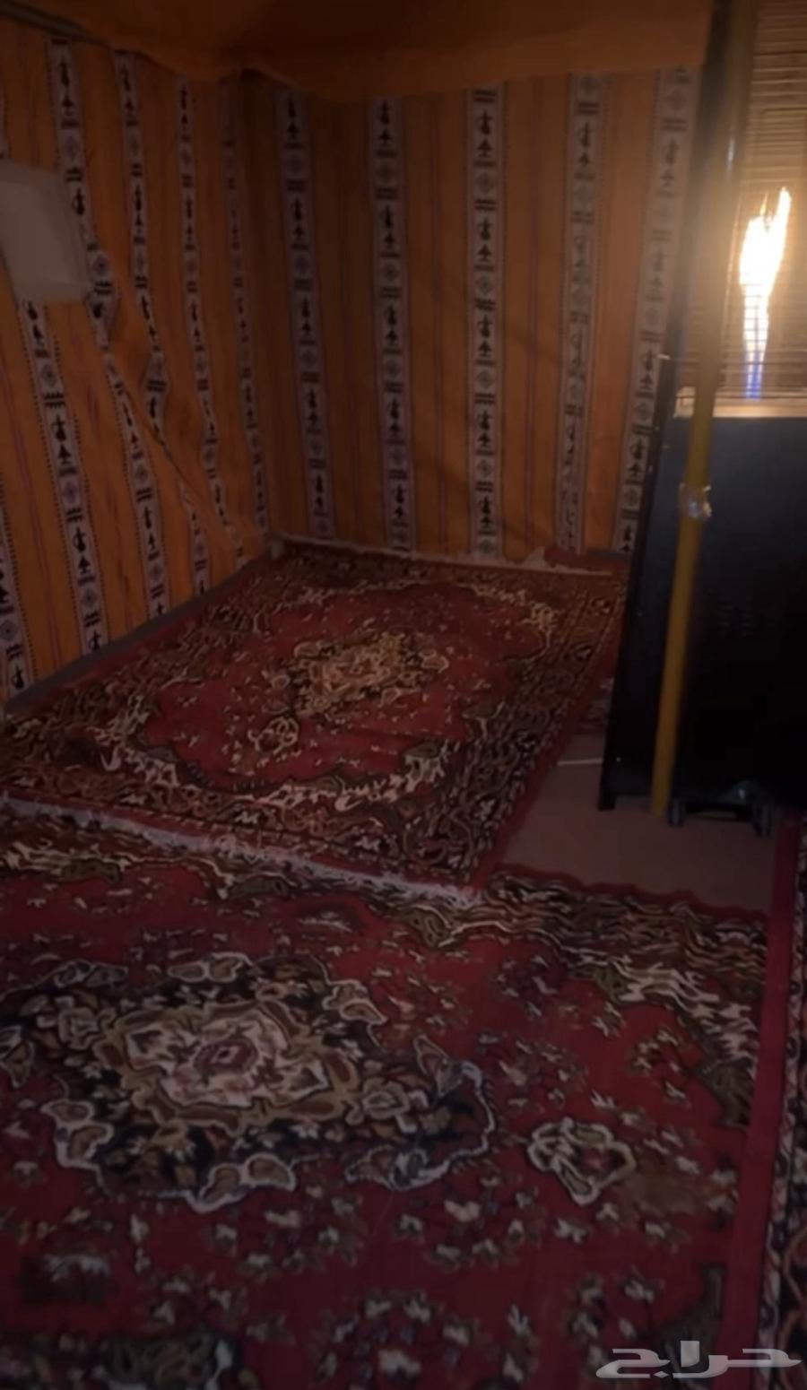 Pakistani Tents 4x4 3 Height Delivery Available Within and Outside Riyadh64545556548099110