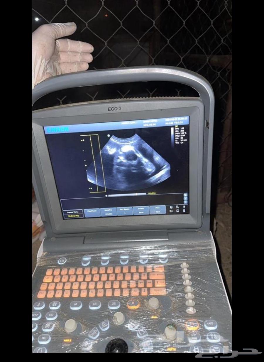 Sheep Sonar Detection64545556157698110