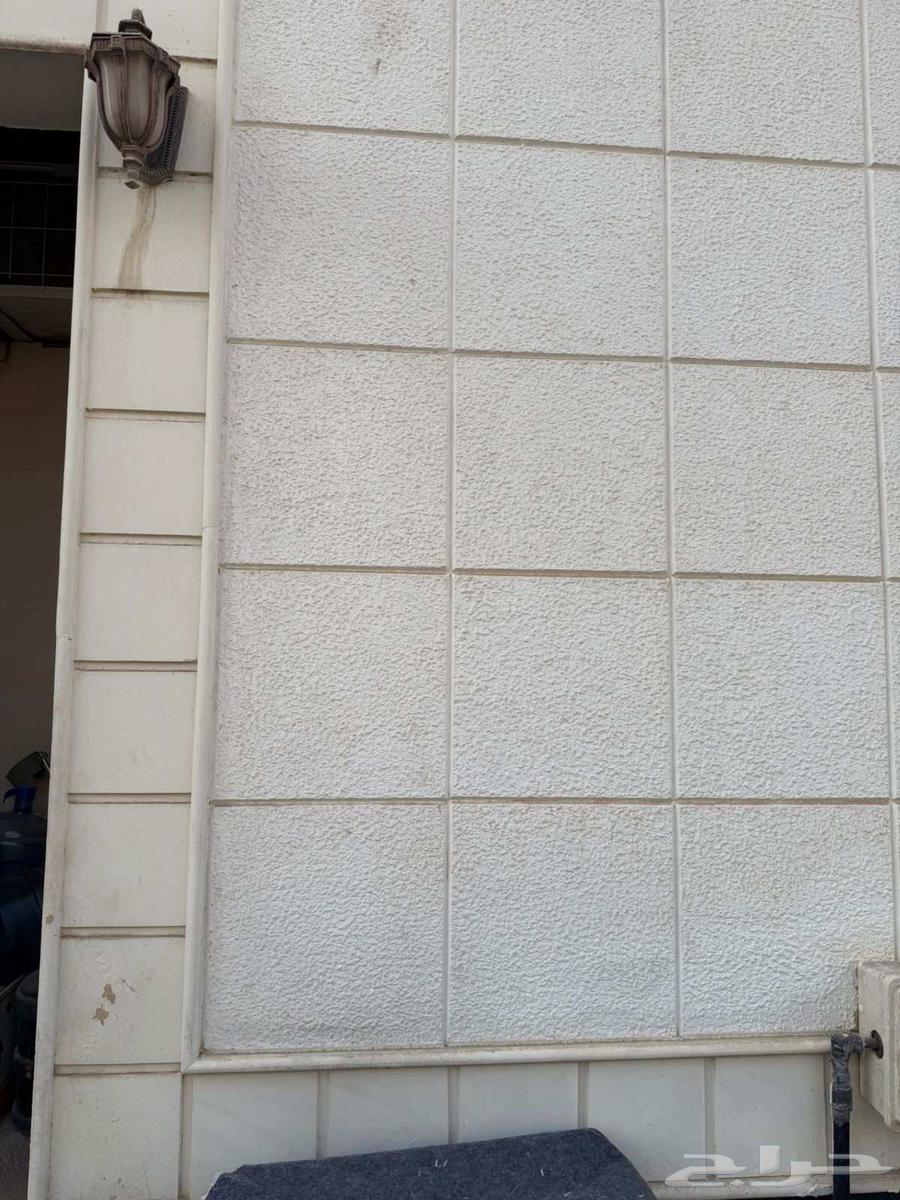 A tile master told his client that the cracking was intentional64550574754819114