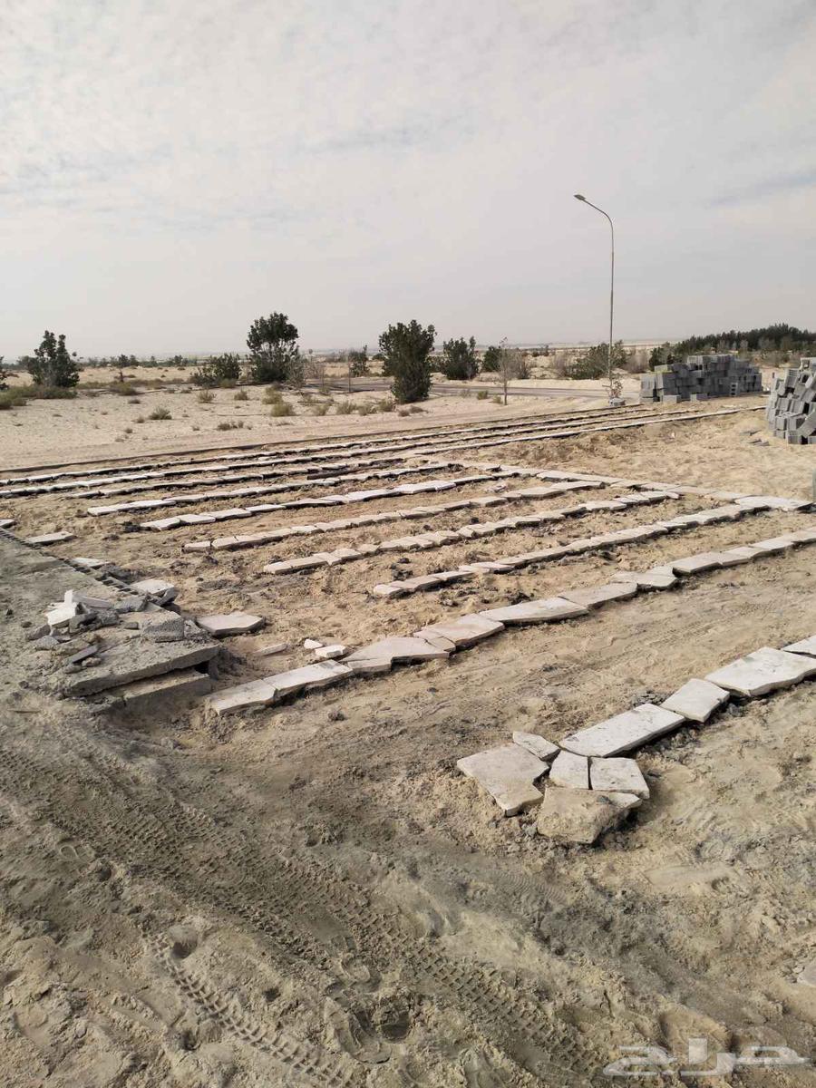 Supply and installation of random stone, modern irrigation networks, and natural grass64550527463042110