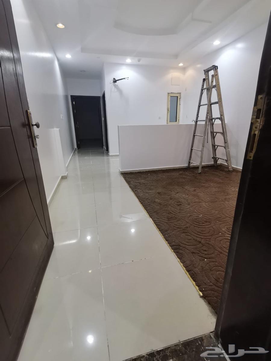 شقة عزاب ايجار شهري64550443286403112