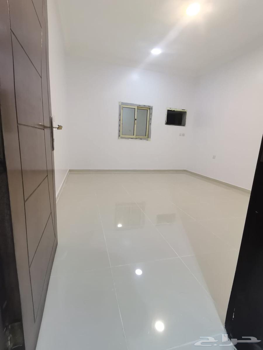 شقة عزاب ايجار شهري64550443286403110