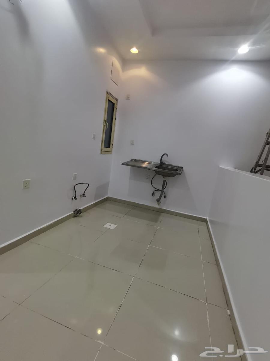 شقة عزاب ايجار شهري64550443286403111