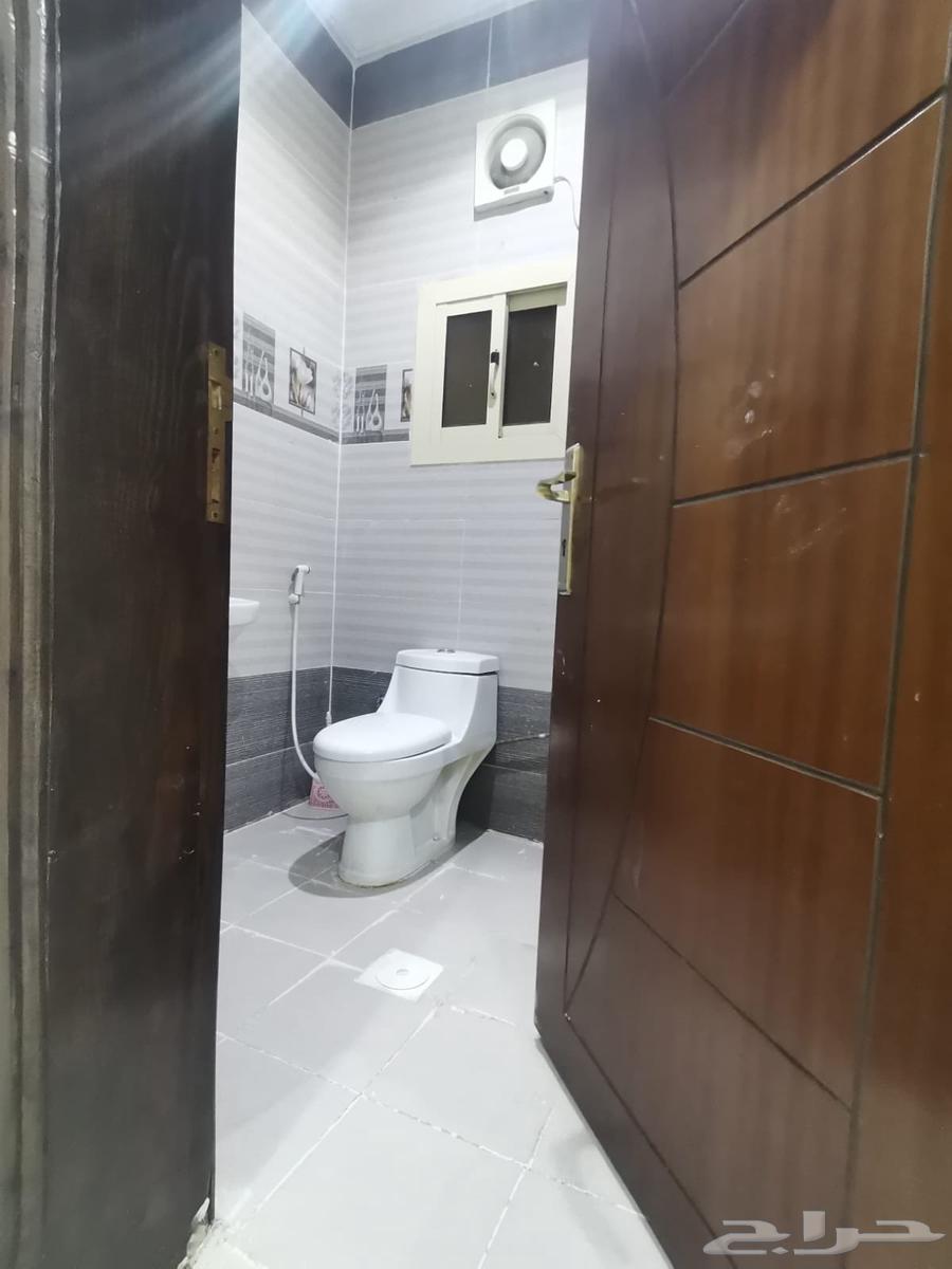 شقة عزاب ايجار شهري64550443286403113