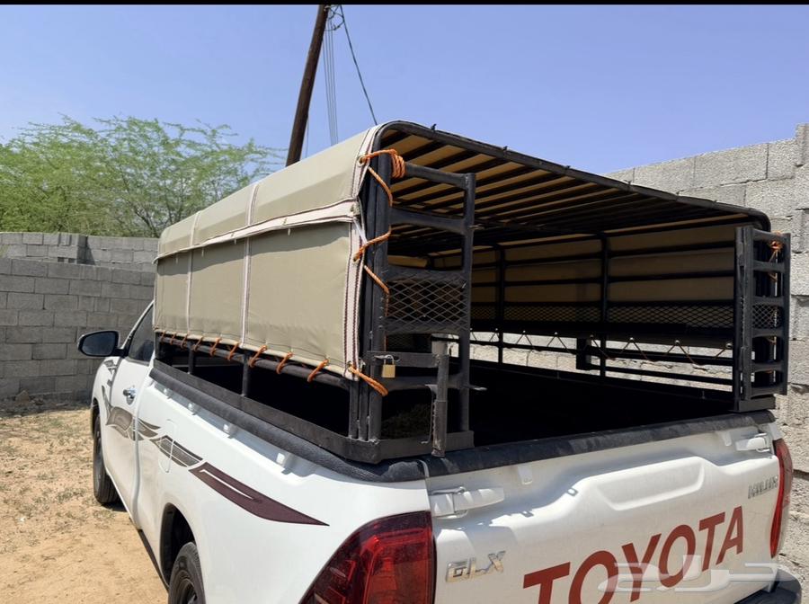 نقل وتوصيل مواشي من الجنوب إلى أنحاء المملكة64550559489283110