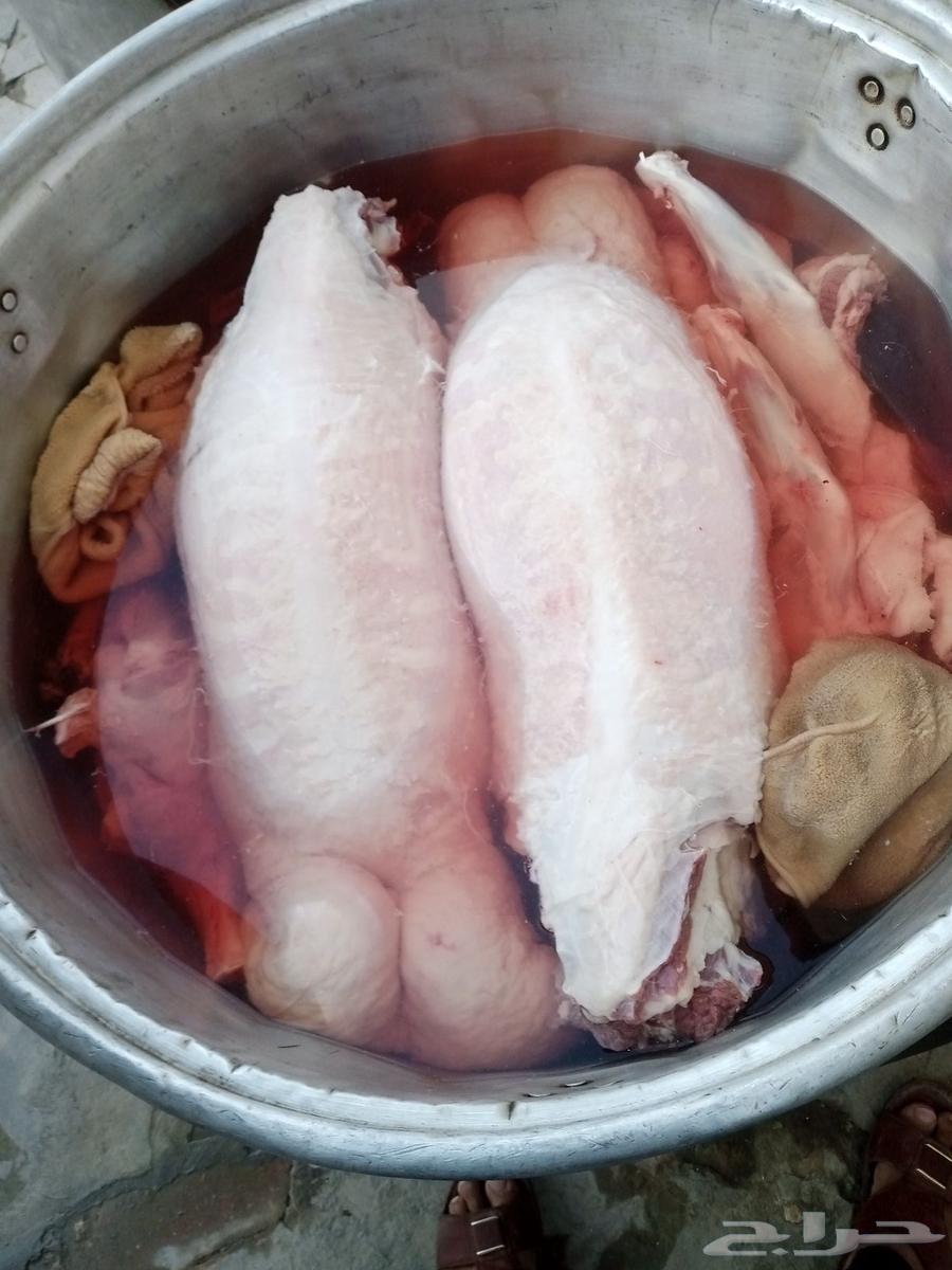 Mobile chef inside and outside Riyadh64550526984193111