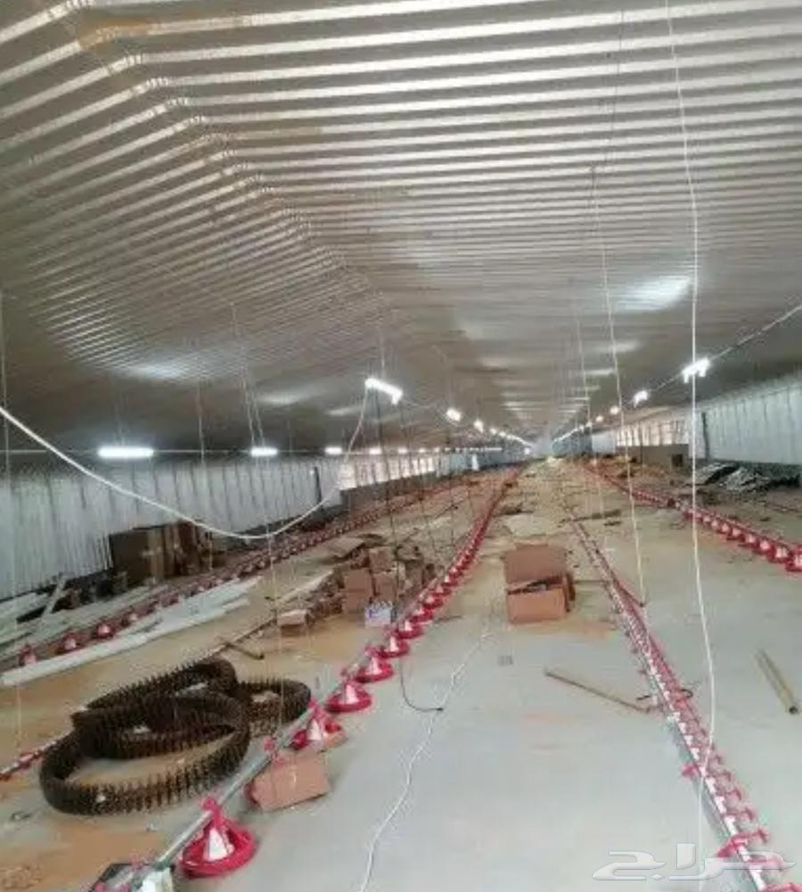 مقاول حظاير الدواجن سعر مناسب64545571535873112