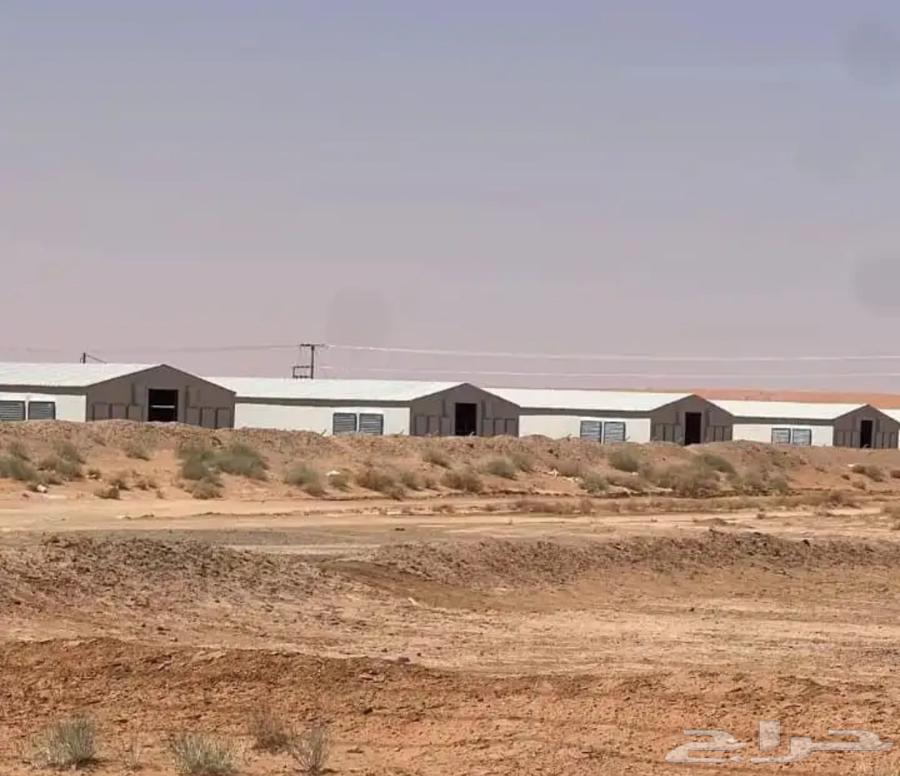 مقاول حظاير الدواجن سعر مناسب64545571535873111