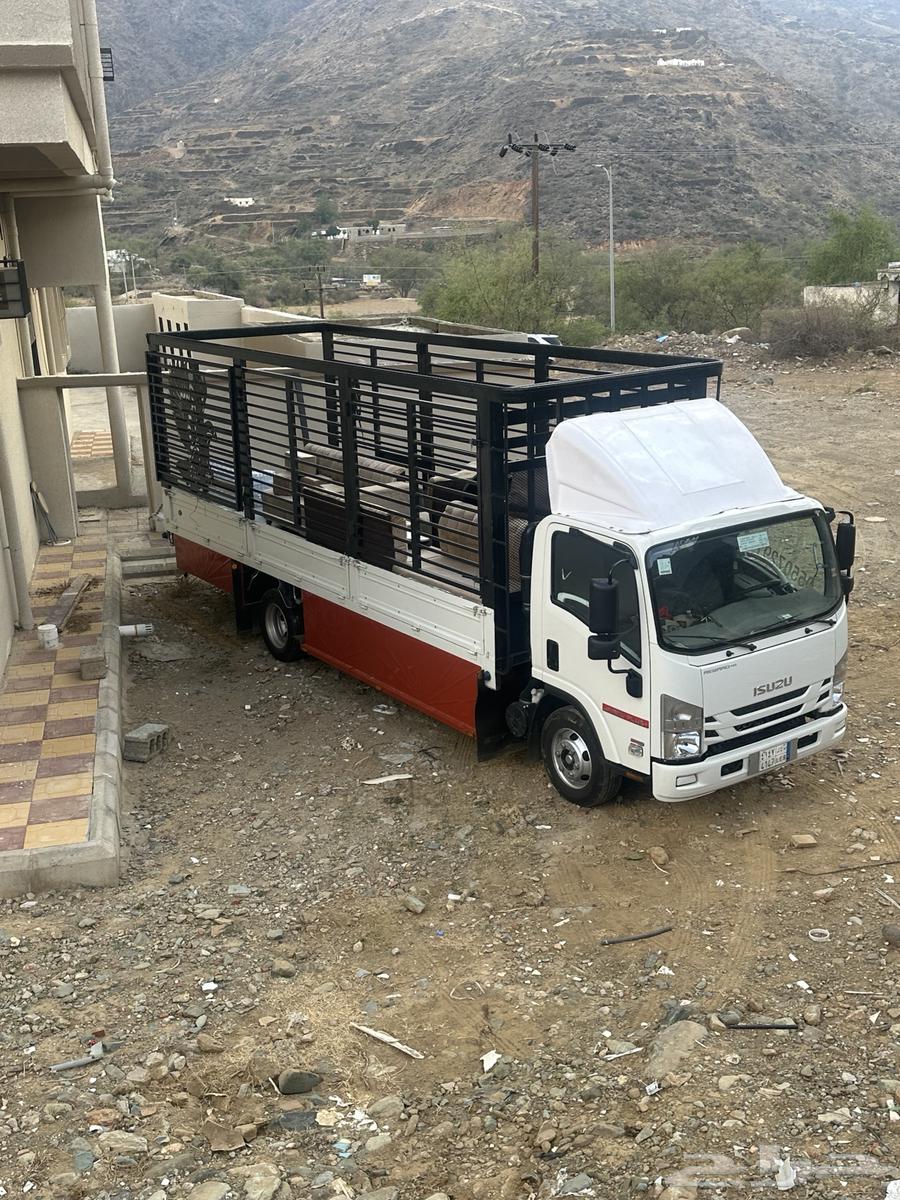 دينا ابها سبعه متر دينه خميس مشيط دينا محايل عسير64563220059778110