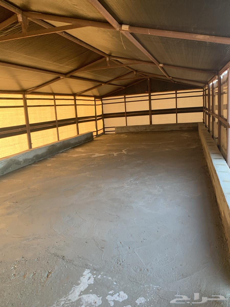 نجار صنادق حديد وخشب64563267158657114