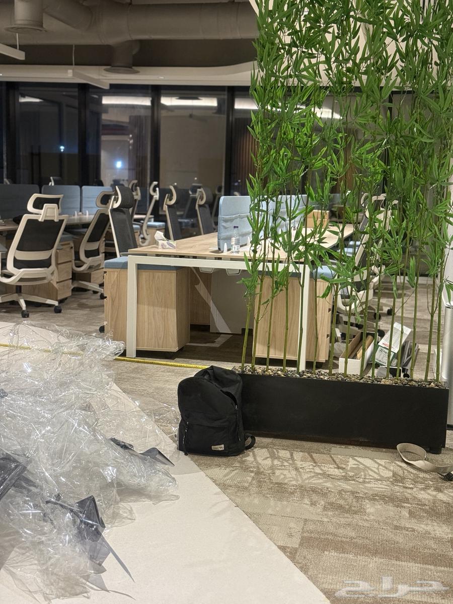 Thermal and privacy tinting for office windows64545556610561113