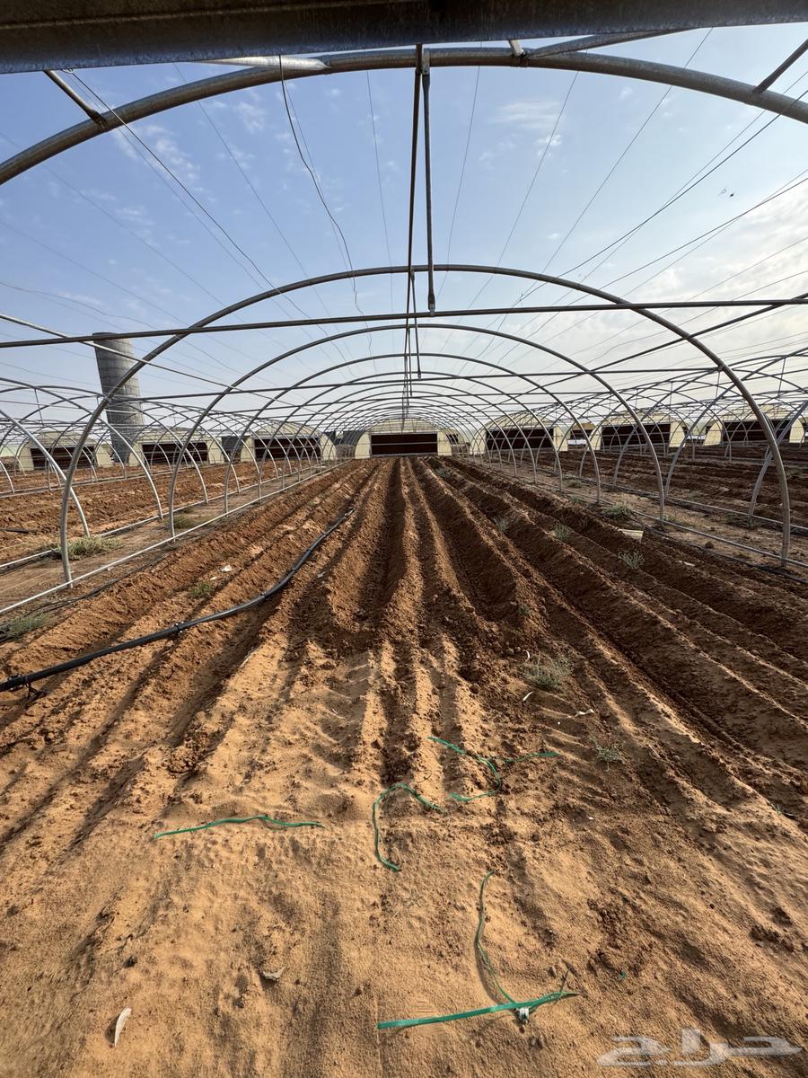 فرق تركيب بيوت محميه64550575417091111