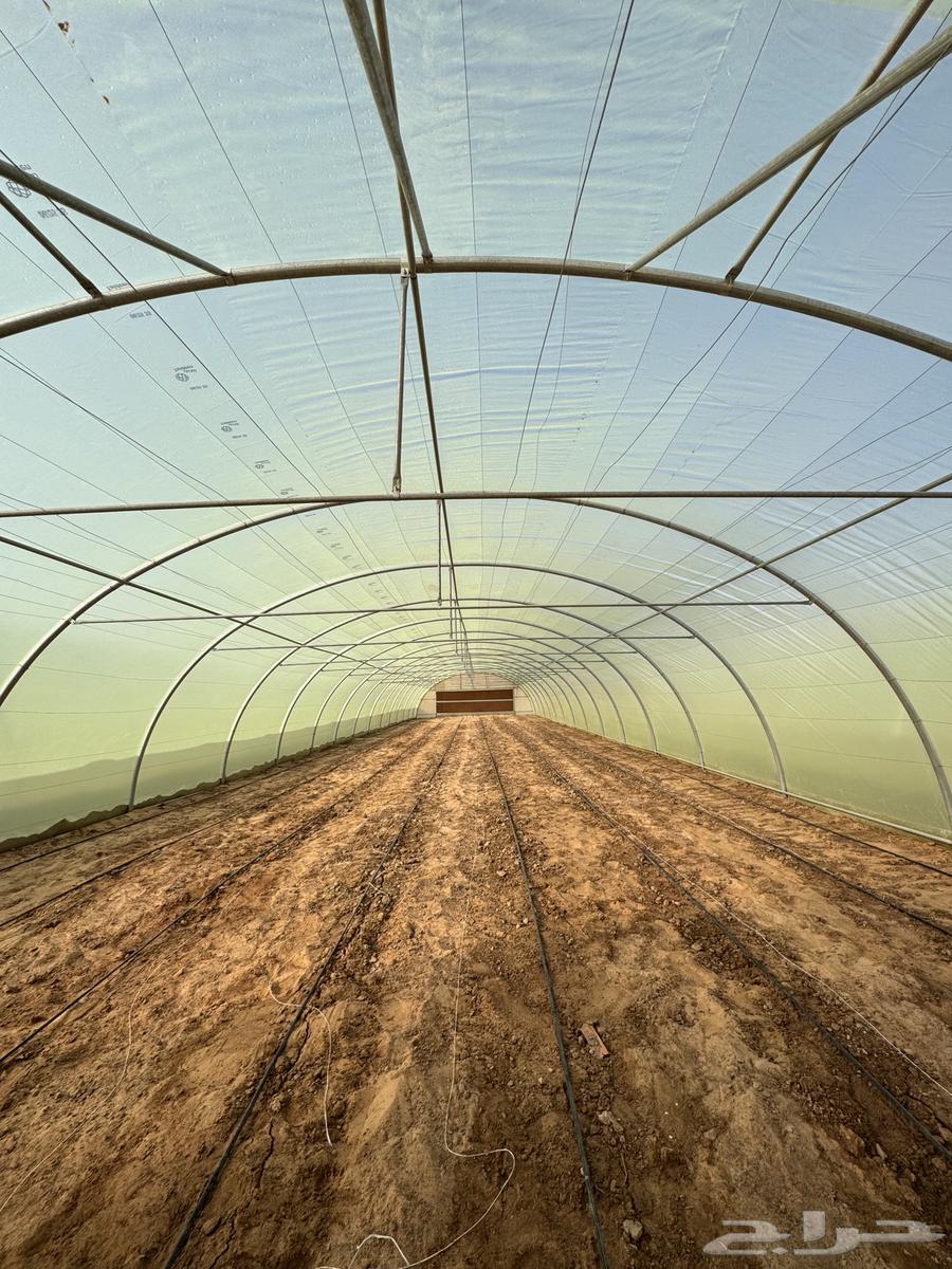 فرق تركيب بيوت محميه64550575417091113