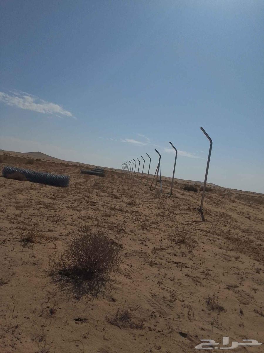 مقاول شبوك وسياجات64550575035395112