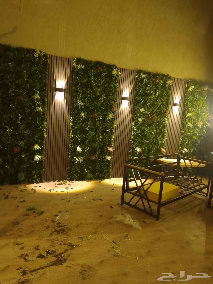 برجولات سواتر مضلات بديل خشب عشب ارضيات64545571684099113