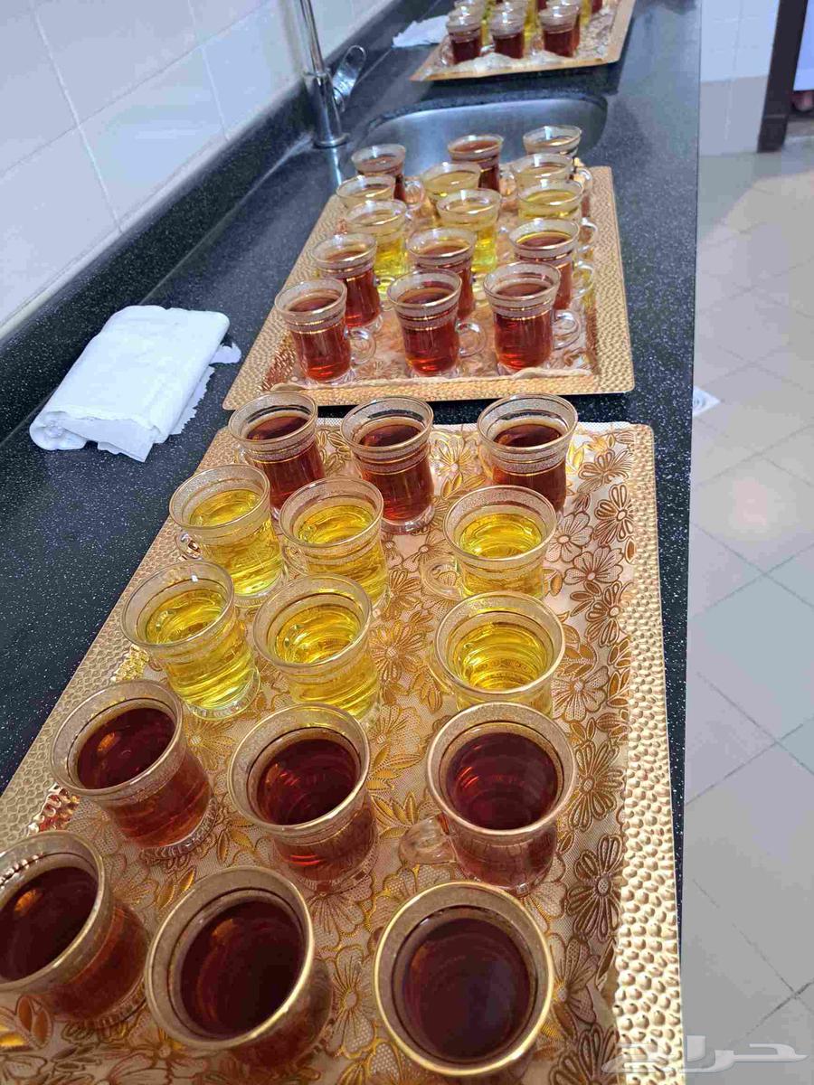 Coffee servers, baristas, and hostesses for men and women64563235217537112