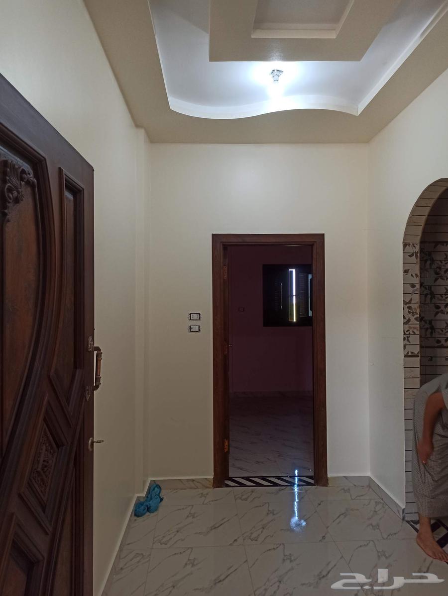 معلم دهانات داخلي وخارجي وديكورات64550559673602112