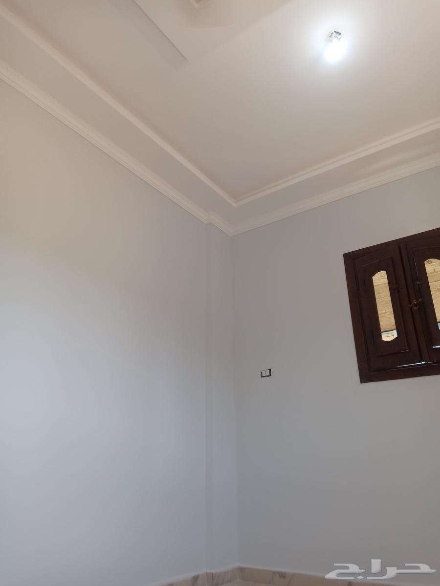 معلم دهانات داخلي وخارجي وديكورات64550559673602114