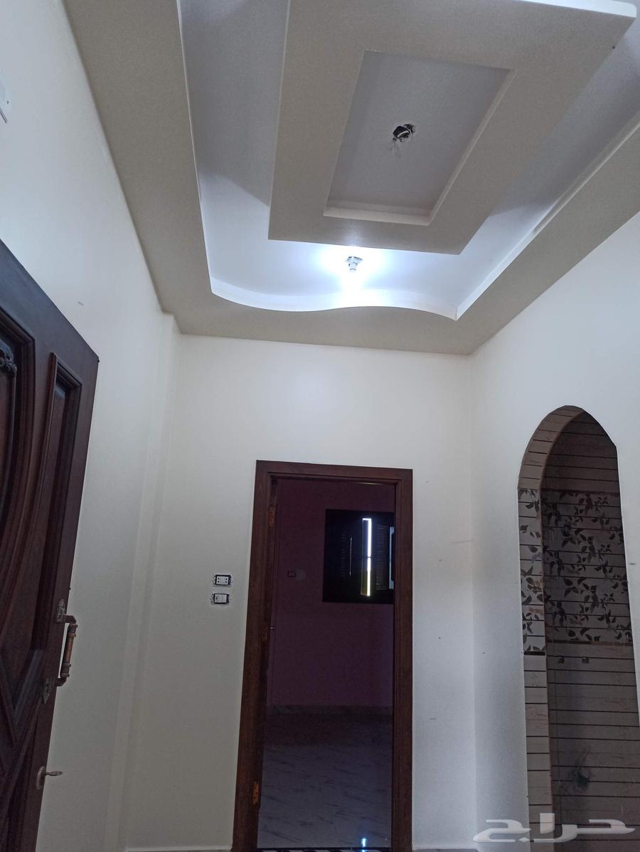 معلم دهانات داخلي وخارجي وديكورات64550559673602113