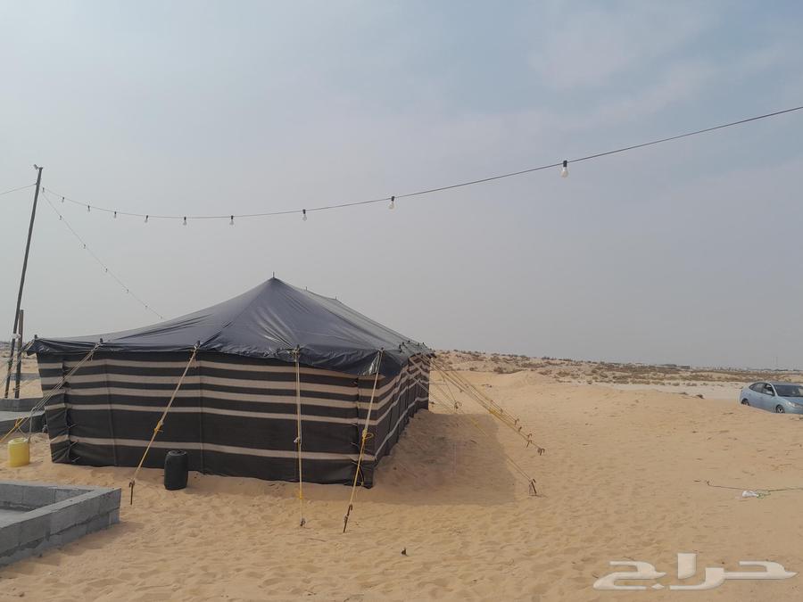 الجميع بيوت الشعر والخيام والمظلات لتركيب سواتر64563219910657110