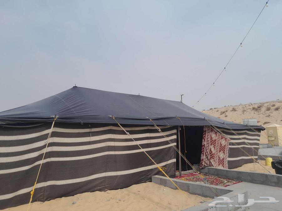 الجميع بيوت الشعر والخيام والمظلات لتركيب سواتر64563219910657113