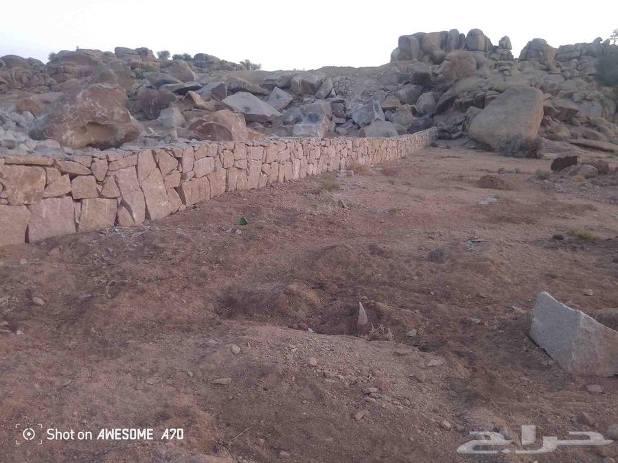 Stone mason and wall breaker and stone builder64550558642049112