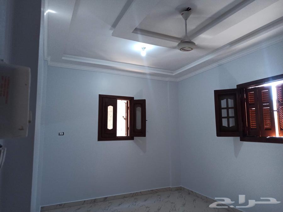 معلم دهانات داخلي وخارجي وديكورات64550559673602111